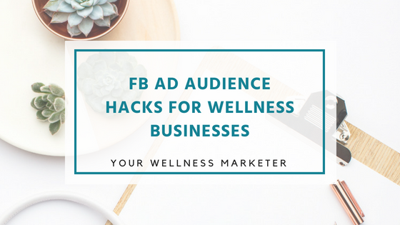facebook ad audience